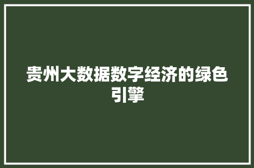 贵州大数据数字经济的绿色引擎  第1张