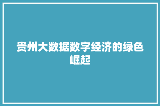 贵州大数据数字经济的绿色崛起  第1张