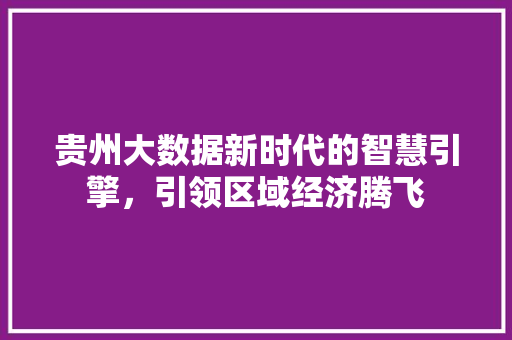 贵州大数据新时代的智慧引擎，引领区域经济腾飞  第1张