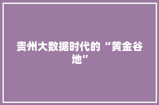 贵州大数据时代的“黄金谷地”  第1张
