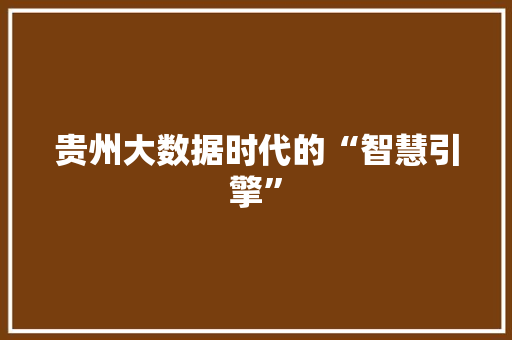 贵州大数据时代的“智慧引擎”  第1张