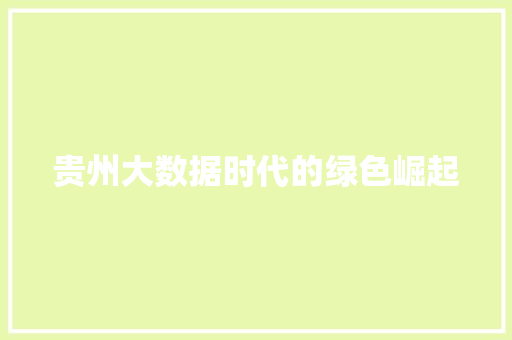 贵州大数据时代的绿色崛起  第1张