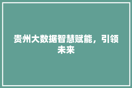 贵州大数据智慧赋能，引领未来  第1张