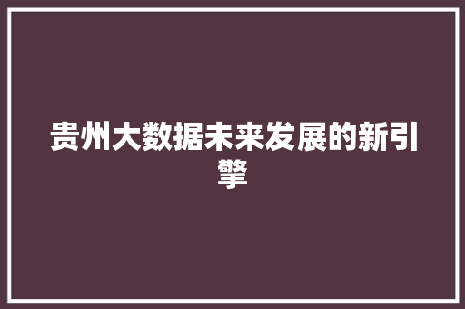 贵州大数据未来发展的新引擎  第1张