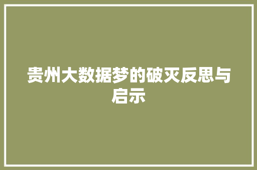 贵州大数据梦的破灭反思与启示  第1张