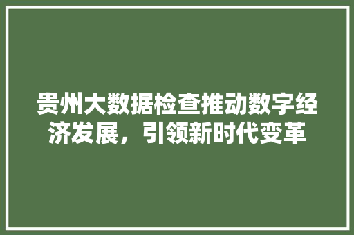 贵州大数据检查推动数字经济发展，引领新时代变革  第1张