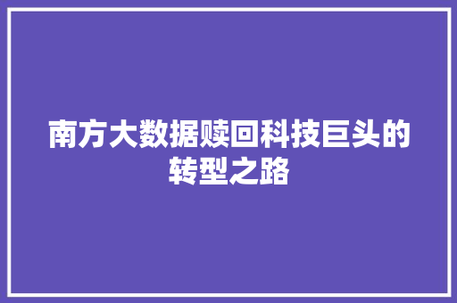 南方大数据赎回科技巨头的转型之路