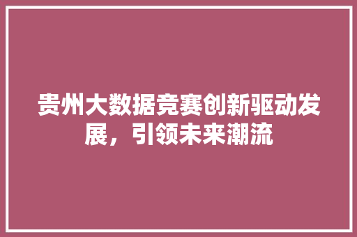 贵州大数据竞赛创新驱动发展，引领未来潮流