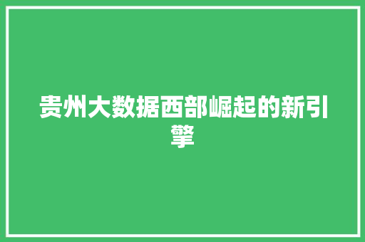 贵州大数据西部崛起的新引擎  第1张