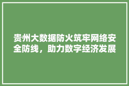 贵州大数据防火筑牢网络安全防线，助力数字经济发展  第1张