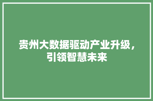 贵州大数据驱动产业升级，引领智慧未来  第1张