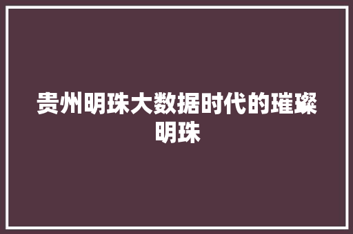 贵州明珠大数据时代的璀璨明珠  第1张