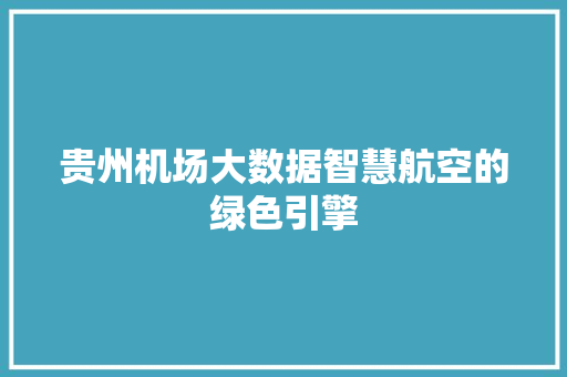 贵州机场大数据智慧航空的绿色引擎