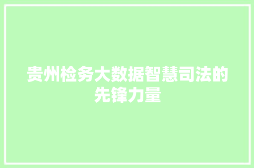 贵州检务大数据智慧司法的先锋力量  第1张