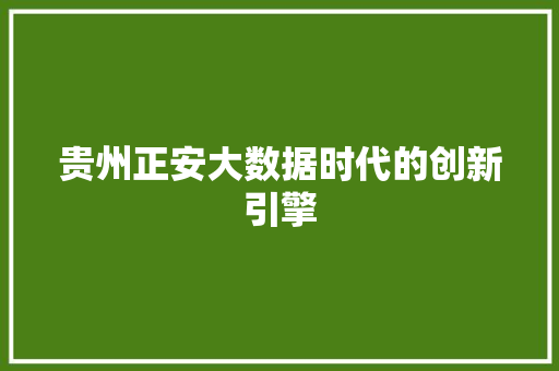 贵州正安大数据时代的创新引擎  第1张