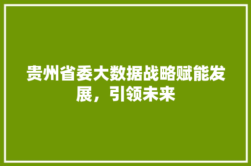 贵州省委大数据战略赋能发展，引领未来