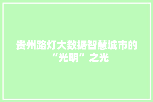 贵州路灯大数据智慧城市的“光明”之光
