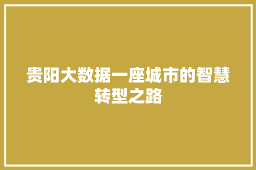 贵阳大数据一座城市的智慧转型之路  第1张