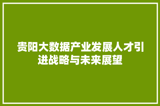 贵阳大数据产业发展人才引进战略与未来展望  第1张