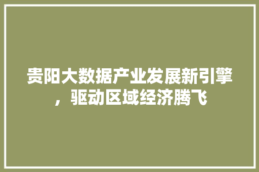 贵阳大数据产业发展新引擎，驱动区域经济腾飞  第1张
