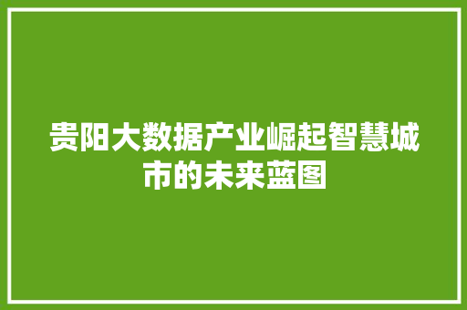 贵阳大数据产业崛起智慧城市的未来蓝图  第1张