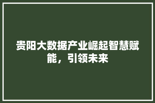 贵阳大数据产业崛起智慧赋能，引领未来  第1张
