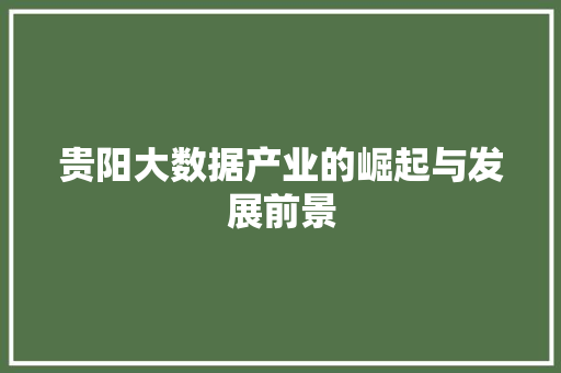 贵阳大数据产业的崛起与发展前景  第1张