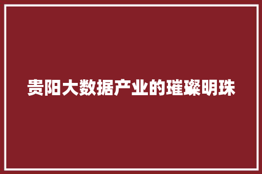 贵阳大数据产业的璀璨明珠  第1张