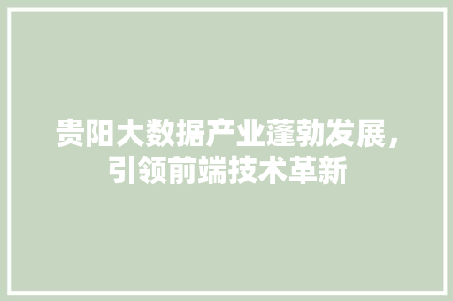 贵阳大数据产业蓬勃发展，引领前端技术革新