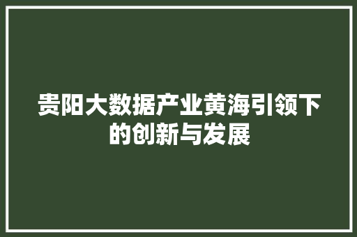 贵阳大数据产业黄海引领下的创新与发展  第1张