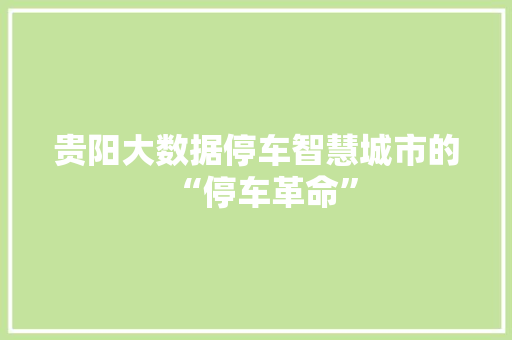 贵阳大数据停车智慧城市的“停车革命”