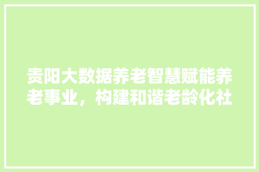 贵阳大数据养老智慧赋能养老事业，构建和谐老龄化社会  第1张