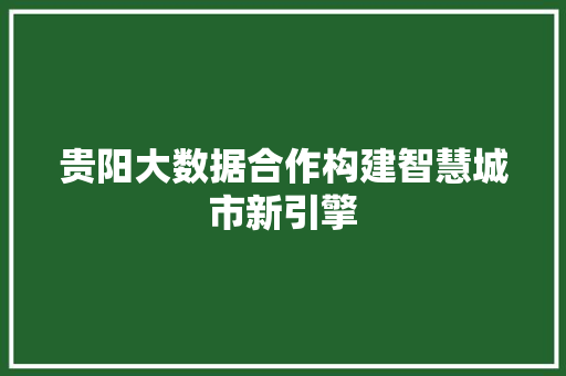 贵阳大数据合作构建智慧城市新引擎  第1张