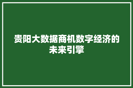 贵阳大数据商机数字经济的未来引擎  第1张
