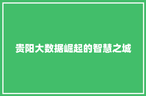 贵阳大数据崛起的智慧之城  第1张