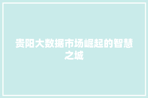 贵阳大数据市场崛起的智慧之城  第1张