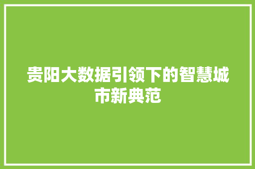 贵阳大数据引领下的智慧城市新典范  第1张