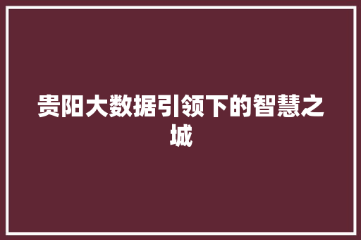 贵阳大数据引领下的智慧之城  第1张