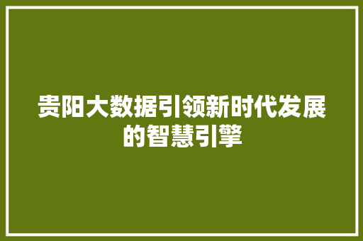 贵阳大数据引领新时代发展的智慧引擎  第1张
