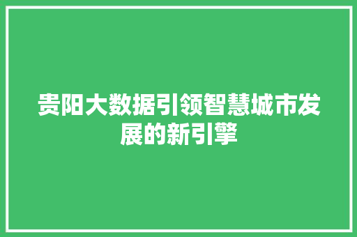 贵阳大数据引领智慧城市发展的新引擎  第1张