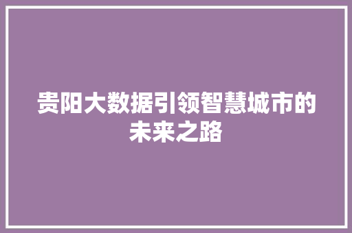 贵阳大数据引领智慧城市的未来之路  第1张
