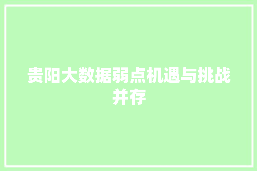 贵阳大数据弱点机遇与挑战并存  第1张