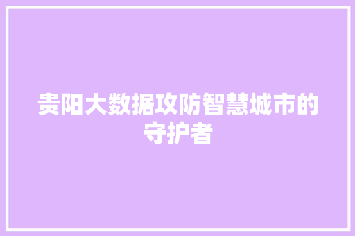 贵阳大数据攻防智慧城市的守护者  第1张