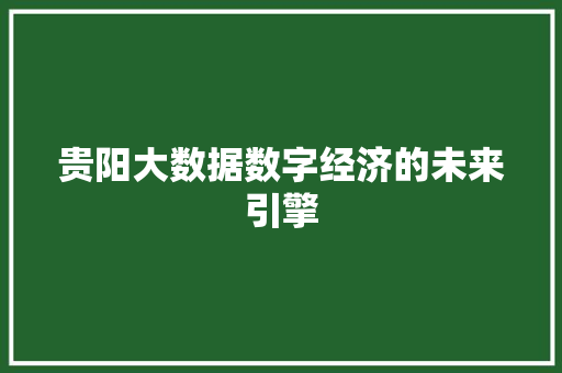 贵阳大数据数字经济的未来引擎  第1张