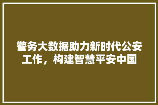 警务大数据助力新时代公安工作，构建智慧平安中国  第1张