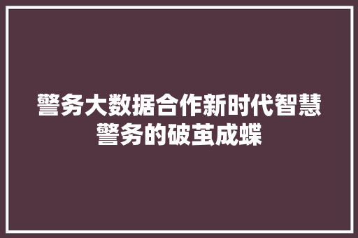 警务大数据合作新时代智慧警务的破茧成蝶  第1张