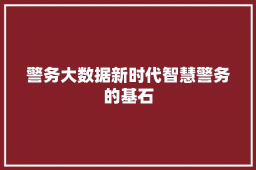 警务大数据新时代智慧警务的基石  第1张