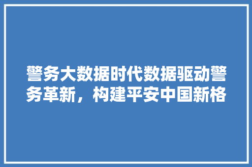 警务大数据时代数据驱动警务革新，构建平安中国新格局  第1张