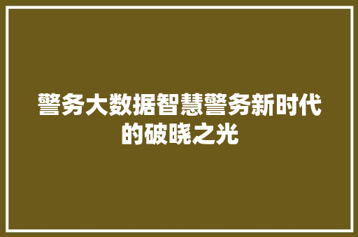 警务大数据智慧警务新时代的破晓之光  第1张