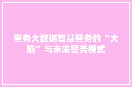 警务大数据智慧警务的“大脑”与未来警务模式  第1张